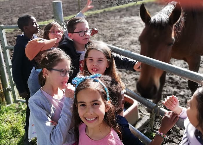 Découverte de la forêt de Brocéliande et initiation à l'équitation