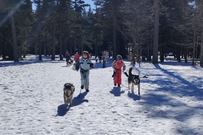 Tu as envie de profiter de tous les plaisirs de la montagne ? Entre activités sportives et découverte de la nature, pars à la quête de tous ses secrets !